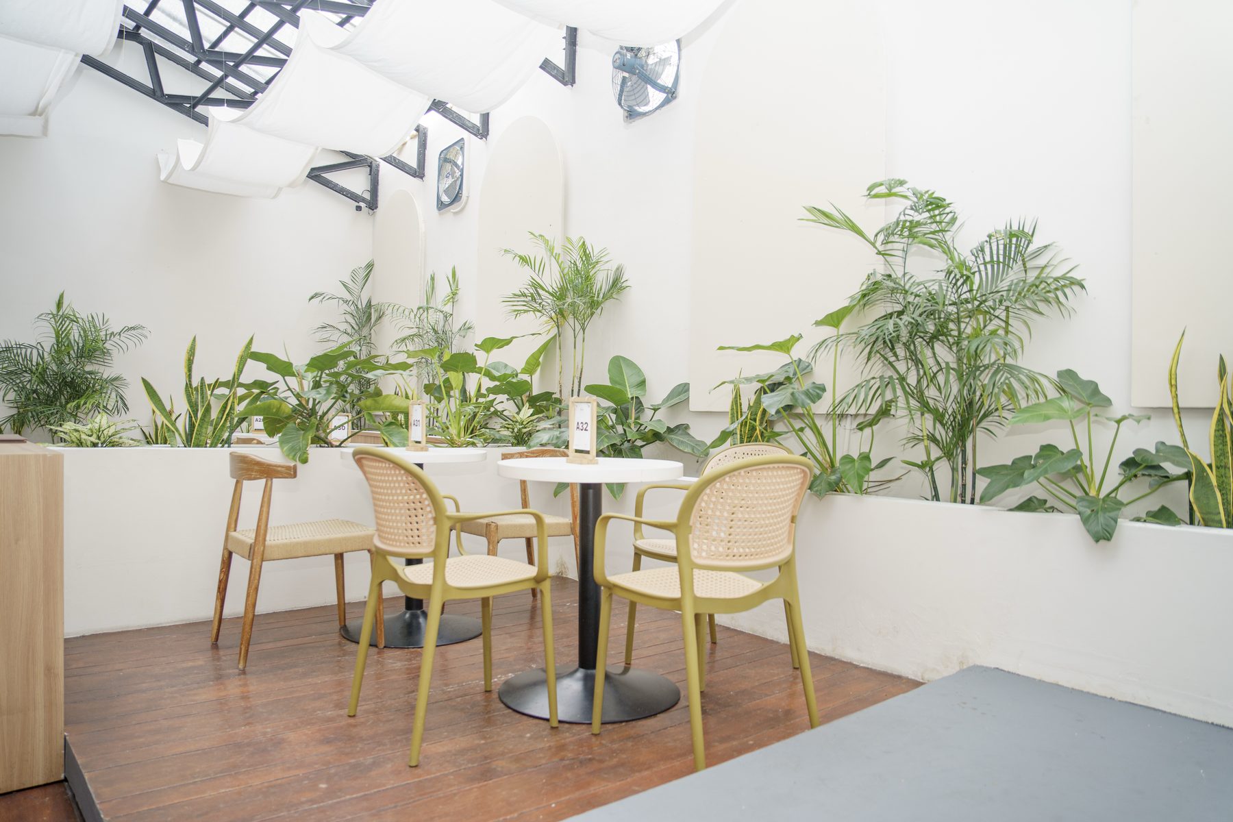 Tables and rattan chairs beside the planted wall
